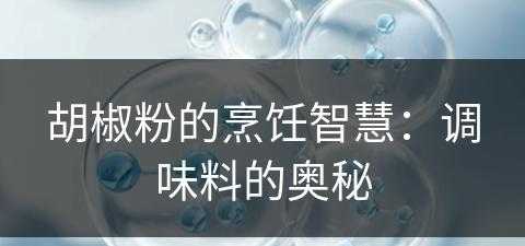 胡椒粉的烹饪智慧：调味料的奥秘